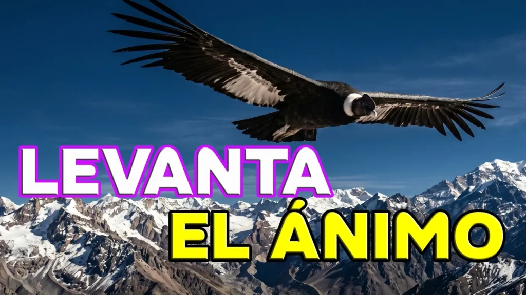 musica-andina-levanta-el-animo